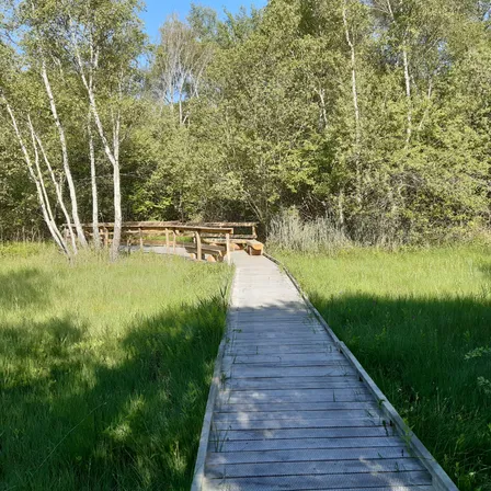 Aménagements dans la RNN du Grand-Lemps