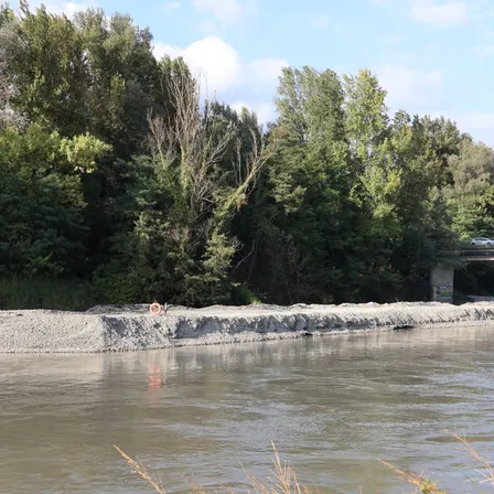 Gestion des plages de dépôt de l’Isère