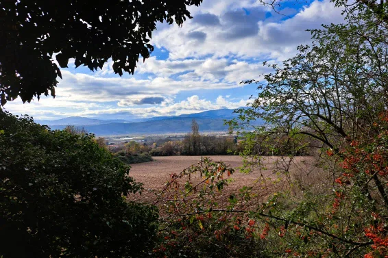 ELEGIA | Aménageur de territoires