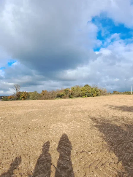 ELEGIA | Aménageur de territoires