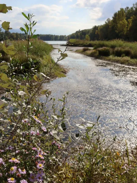 ELEGIA | Aménageur de territoires